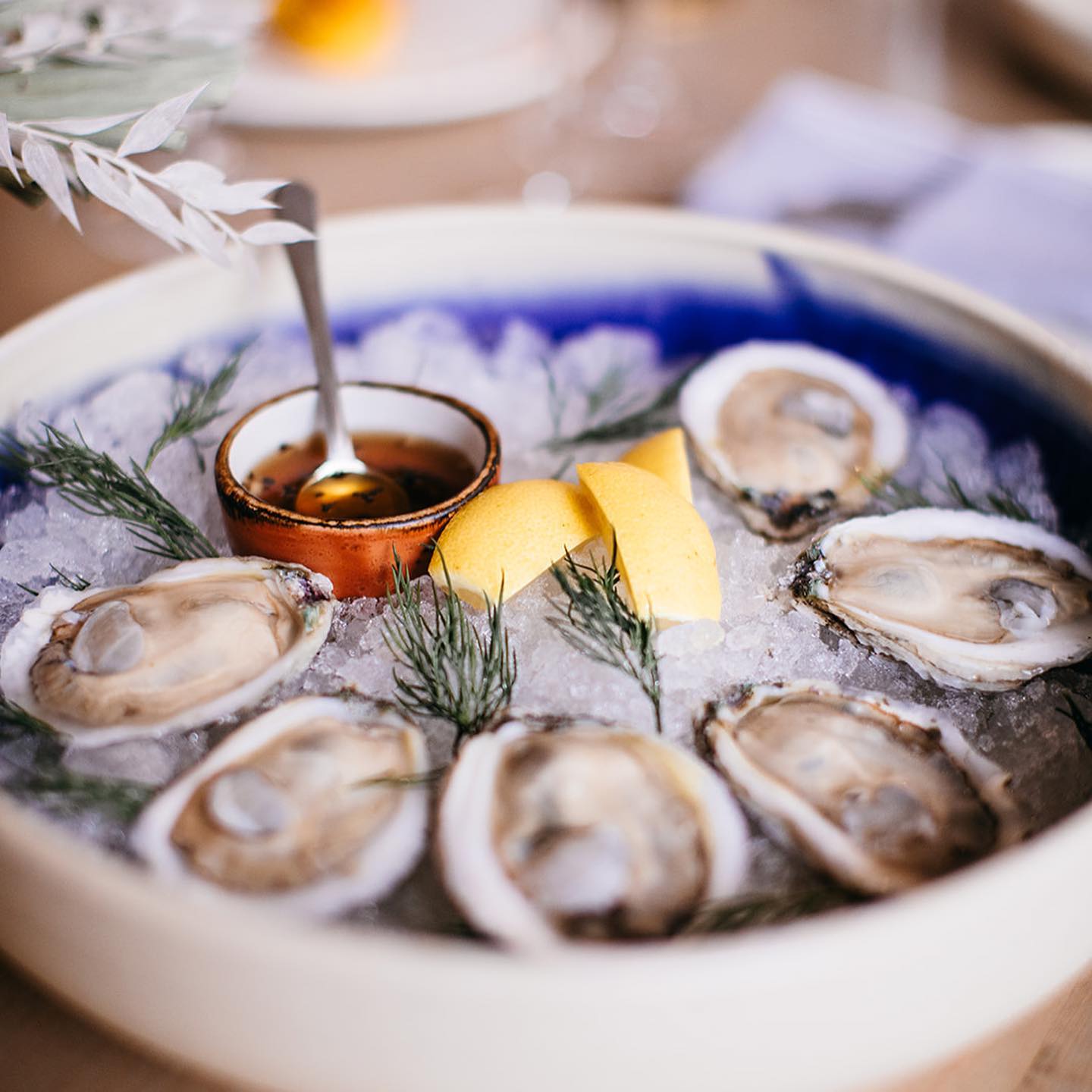 Oysters on ice from our raw oyster bar in Chattanooga.